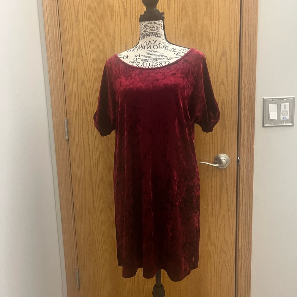 The Vanity Room Rich Burgundy Velvet Mini Dress